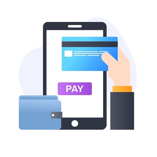 Payment options for a Paris airport transfer: cash, card or online