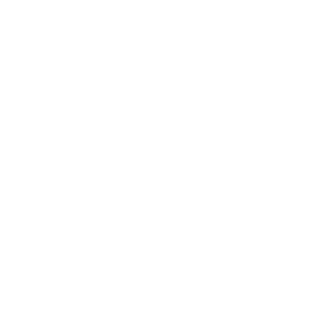 ParisDisneyExpressTransfer - Paris airport and Disneyland transfers